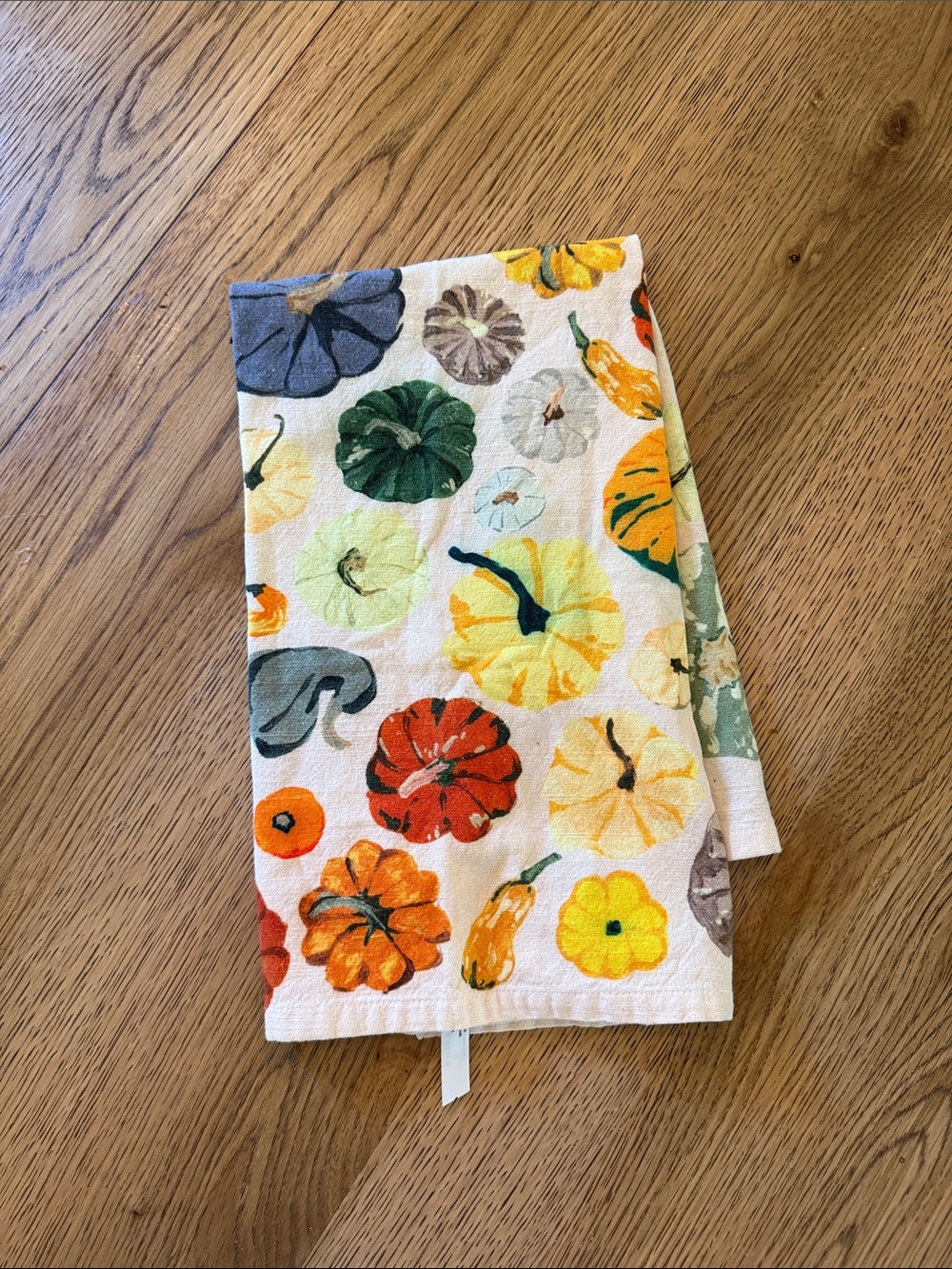 Anthropologie Pumpkin Motif Kitchen Towel - Multicolor